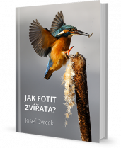 e-book jak fotit zvířata