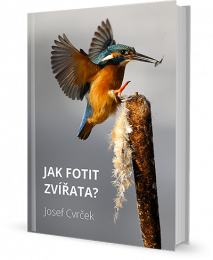 e-book jak fotit zvířata