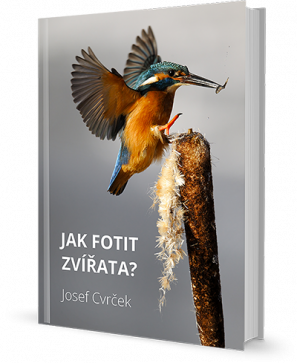 e-book jak fotit zvířata