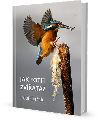 e-book jak fotit zvířata